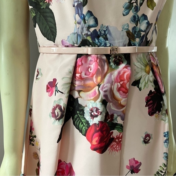 Ted BAKER DEAVON WOMEN'S OIL PAINTING Floral Sleeveless Belted DRESS NUDE PINK 6 - Picture 5 of 15
